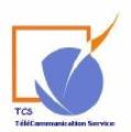 TELECOMMUNICATION SERVICE (TCS SPA)